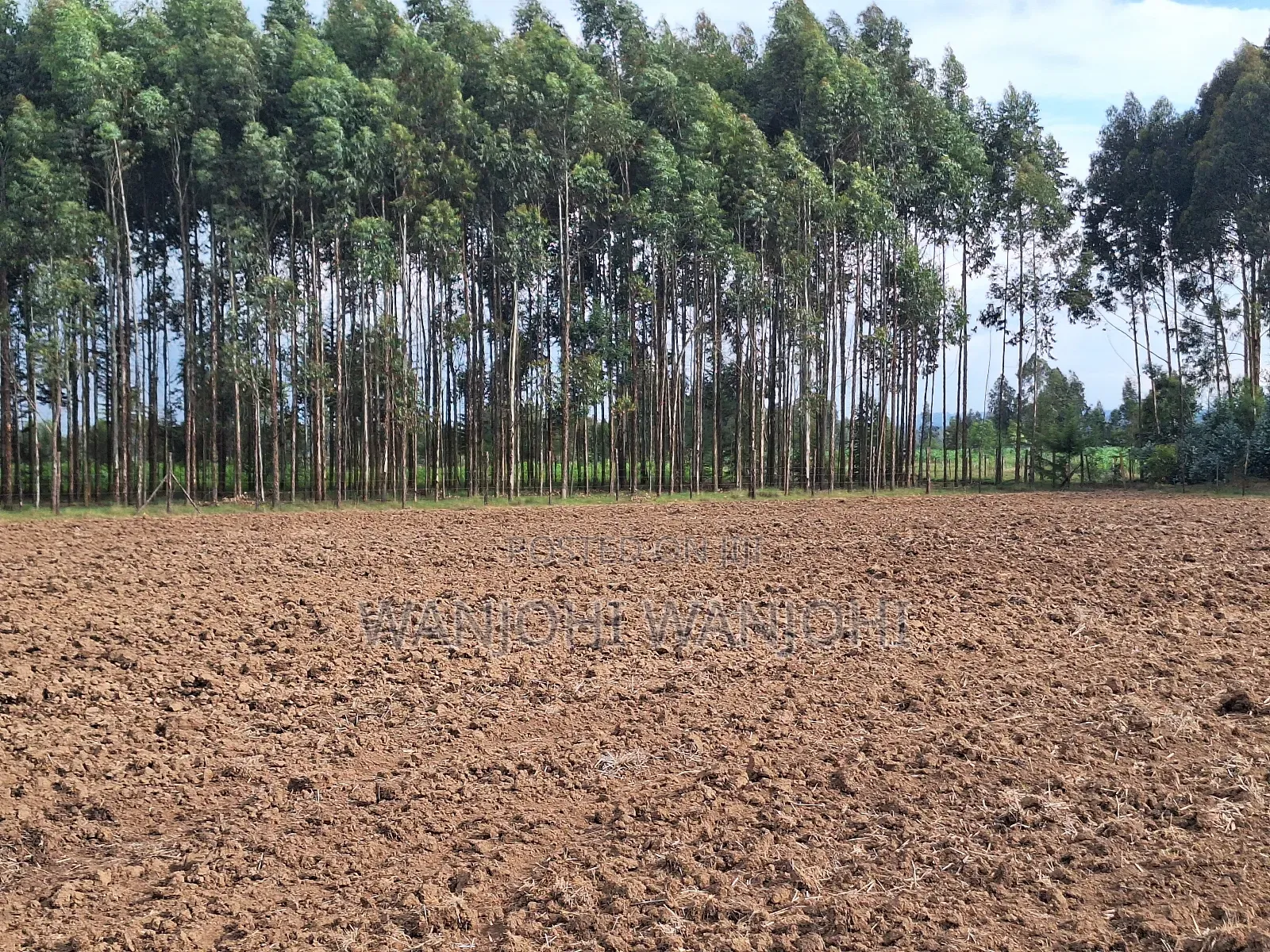 Quarter Acre Plots Nyahururu Township in Gatimu
