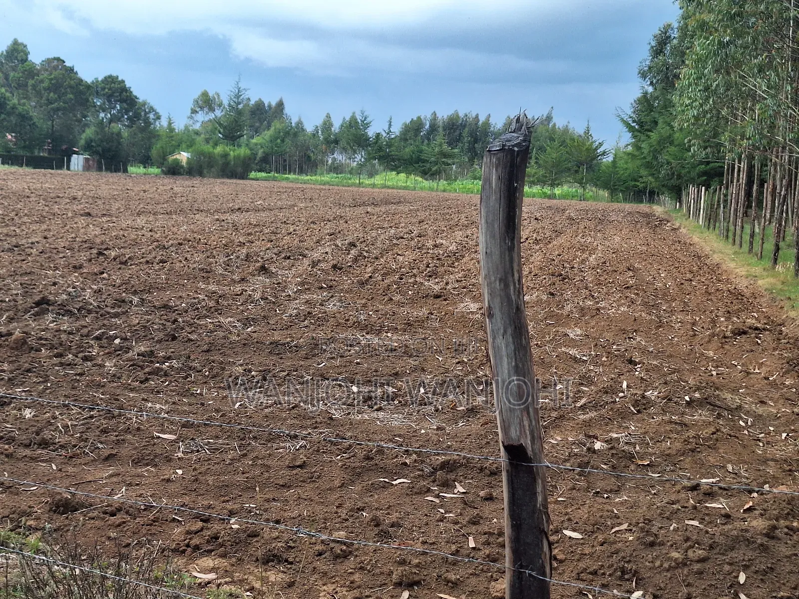 Quarter Acre Plots Nyahururu Township in Gatimu