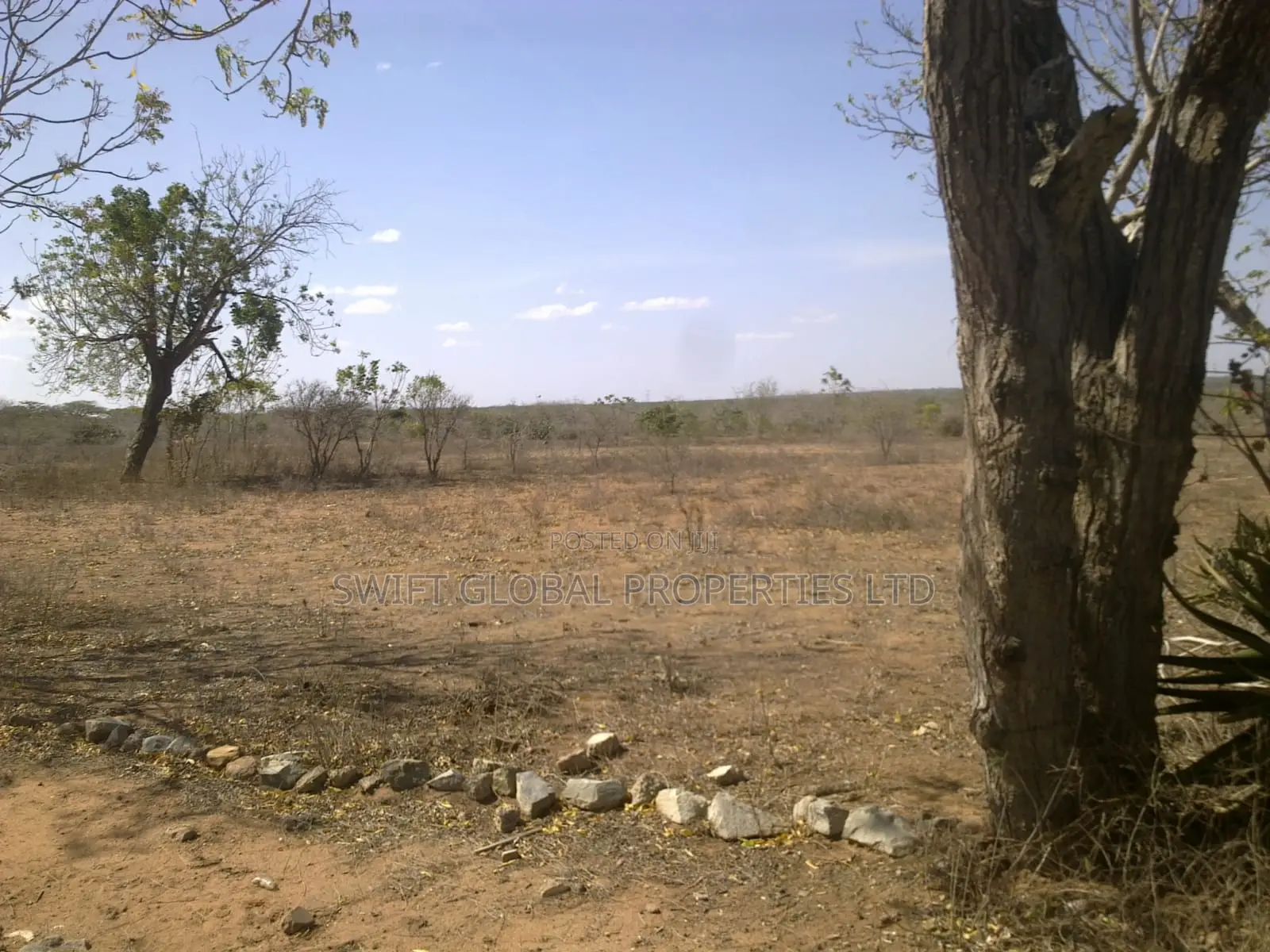 52,000 Acres Is Available for Sale in Taru Kwale County in Mackinnon Road