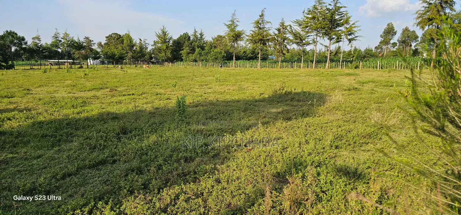 Several1 and 1⁄2 Acres Percels for Sale in Kapseret Eldoret in Kapseret