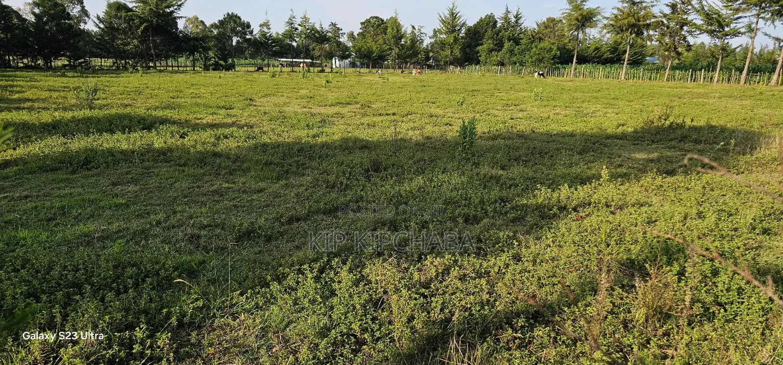 Several1 and 1⁄2 Acres Percels for Sale in Kapseret Eldoret in Kapseret