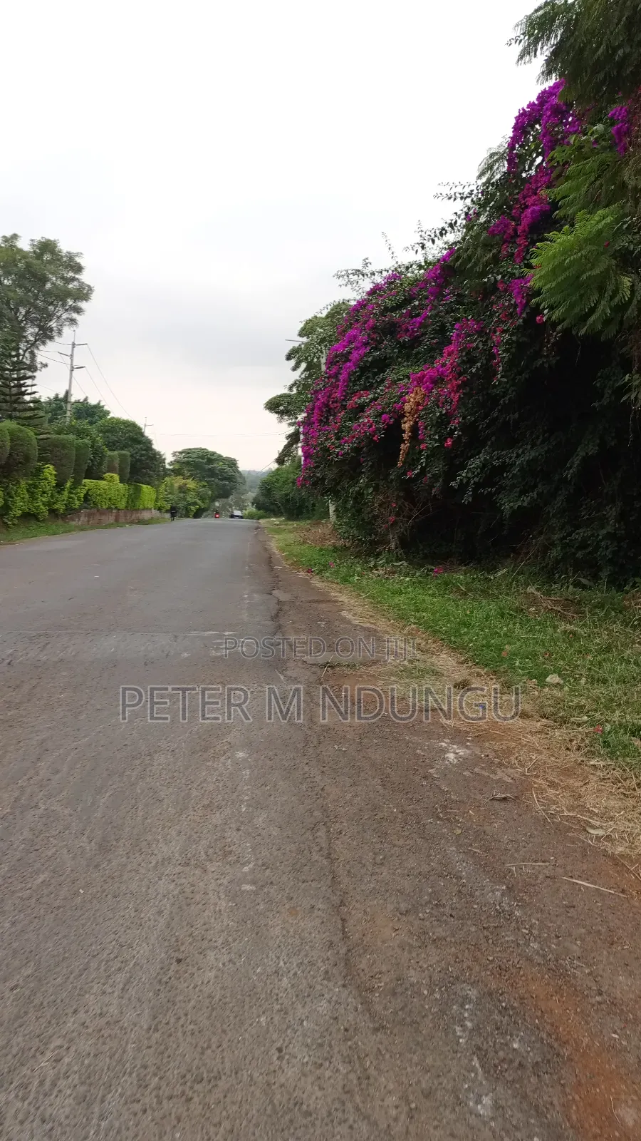 Prime Commercial Land 1.5 Acres, Ridgeways in Ridgeways