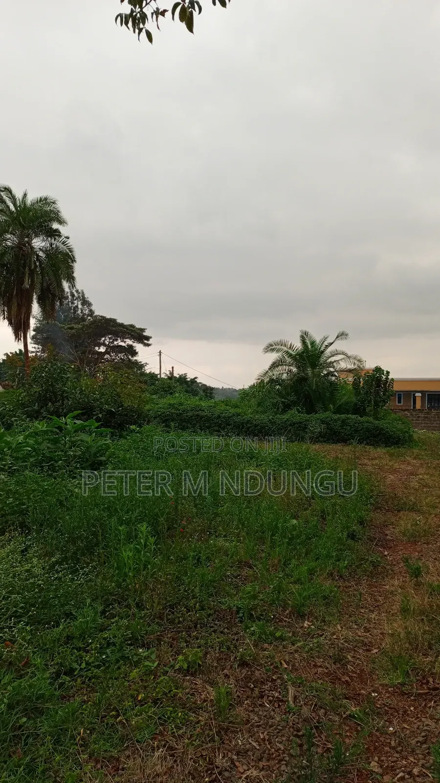 Prime Commercial Land 1.5 Acres, Ridgeways in Ridgeways