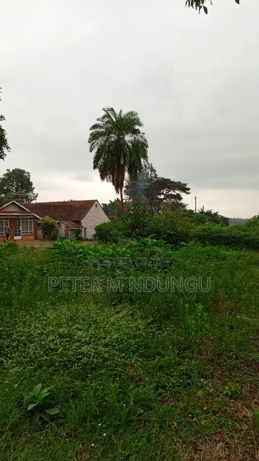 Prime Commercial Land 1.5 Acres, Ridgeways in Ridgeways