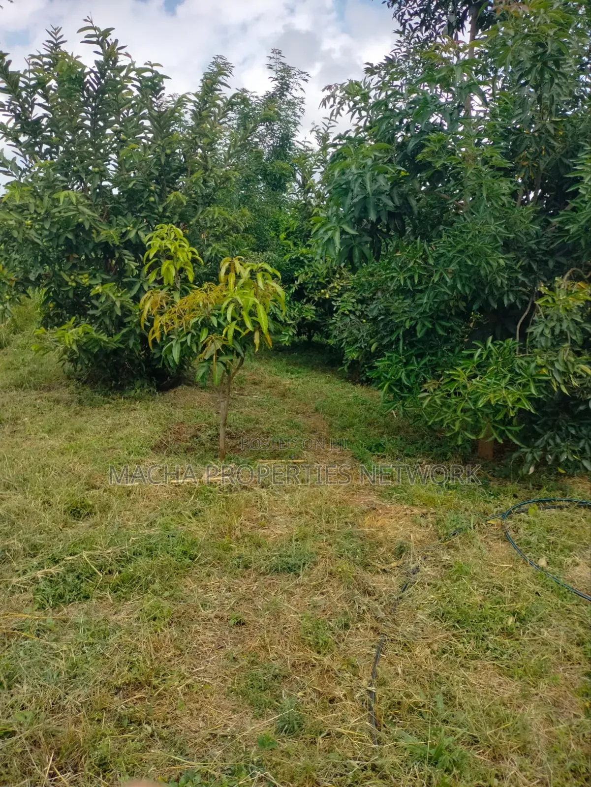 Prime Land 10 Acres -Konza City-Fronting Msa -Nrbi Highway in Malili