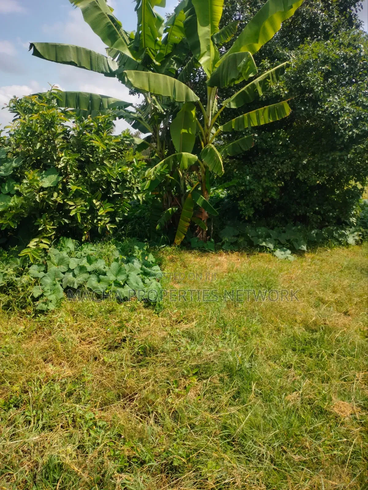 Prime Land 10 Acres -Konza City-Fronting Msa -Nrbi Highway in Malili