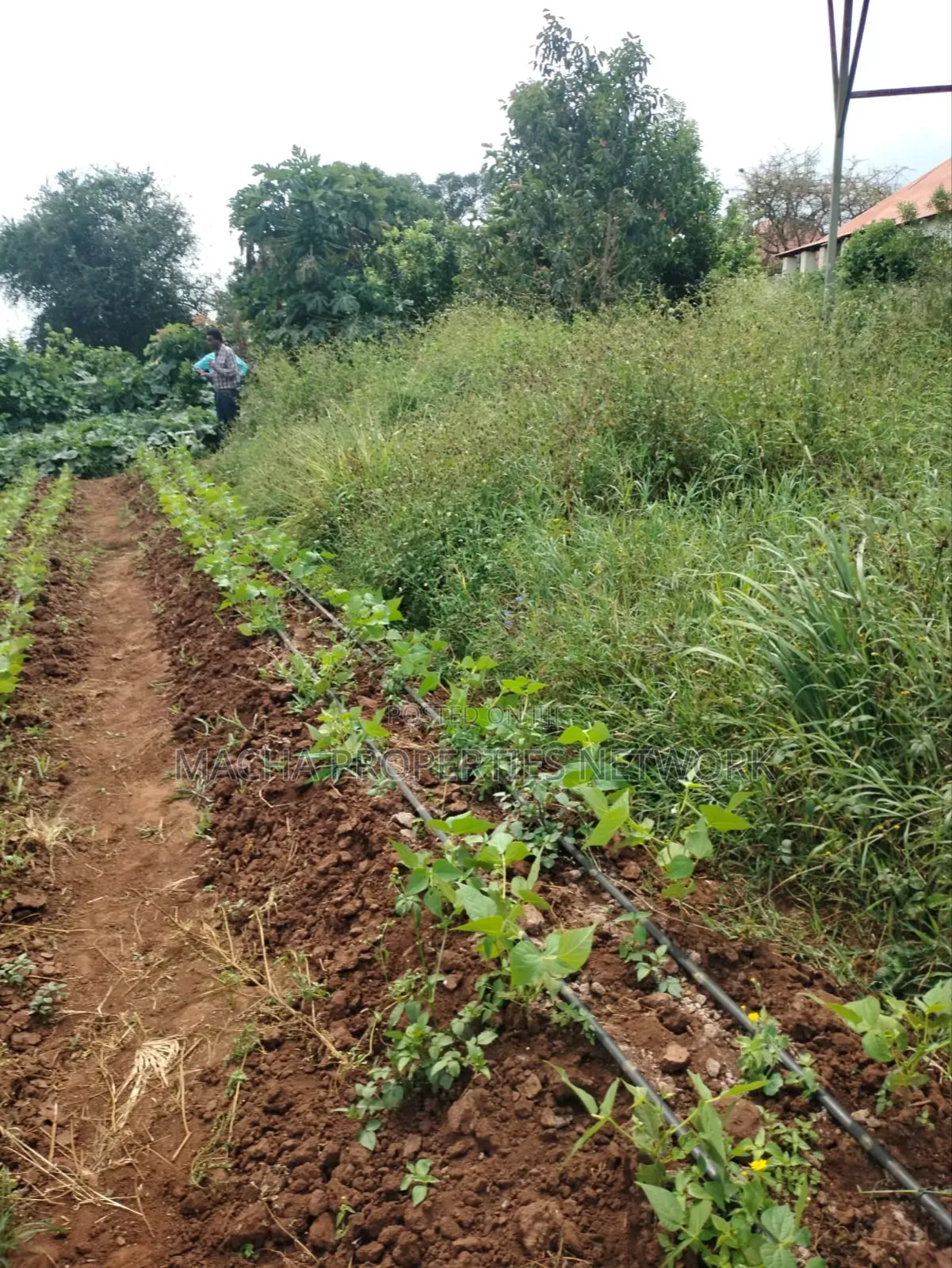 Prime Land 10 Acres -Konza City-Fronting Msa -Nrbi Highway in Malili