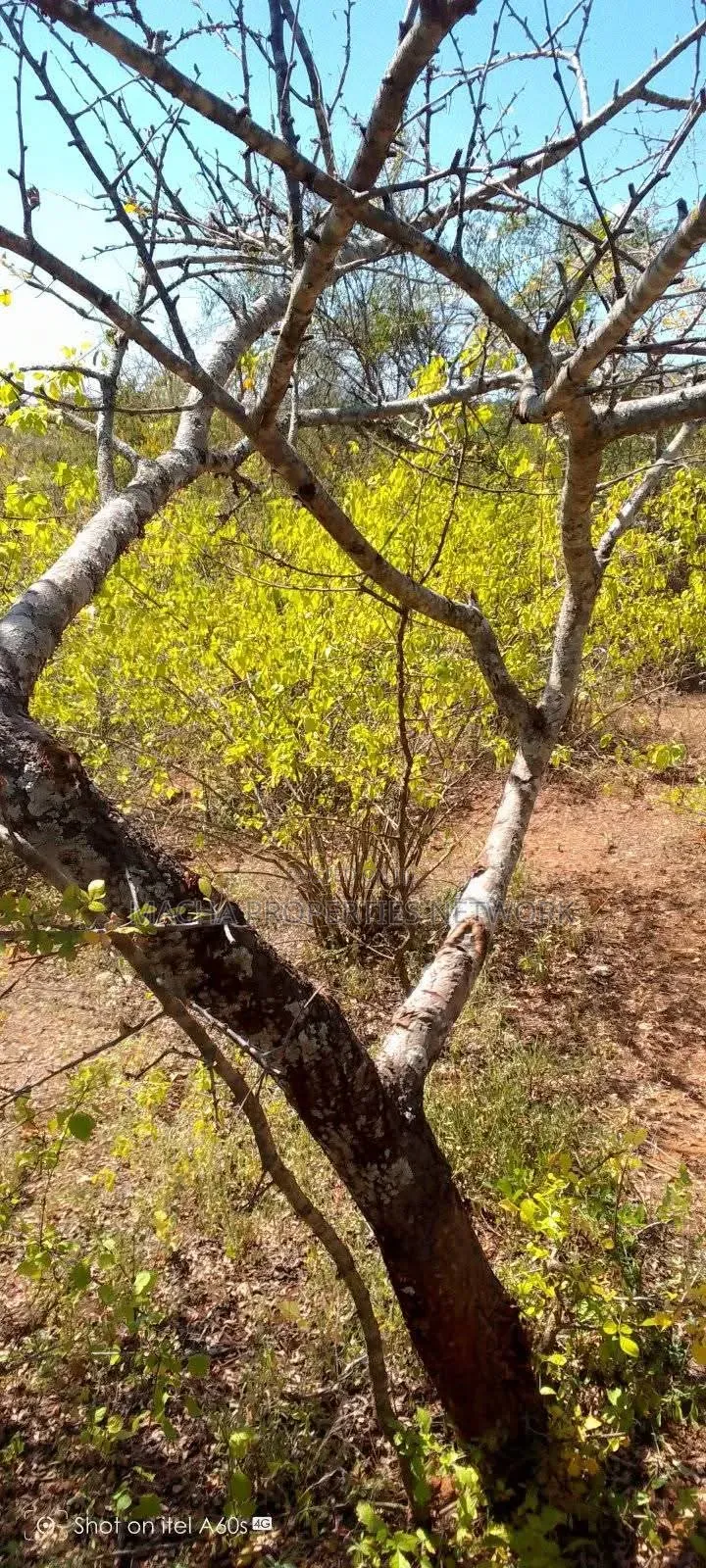 10 Acres at Kitui-Kyua Kwavonza in Kwavonza/Yatta