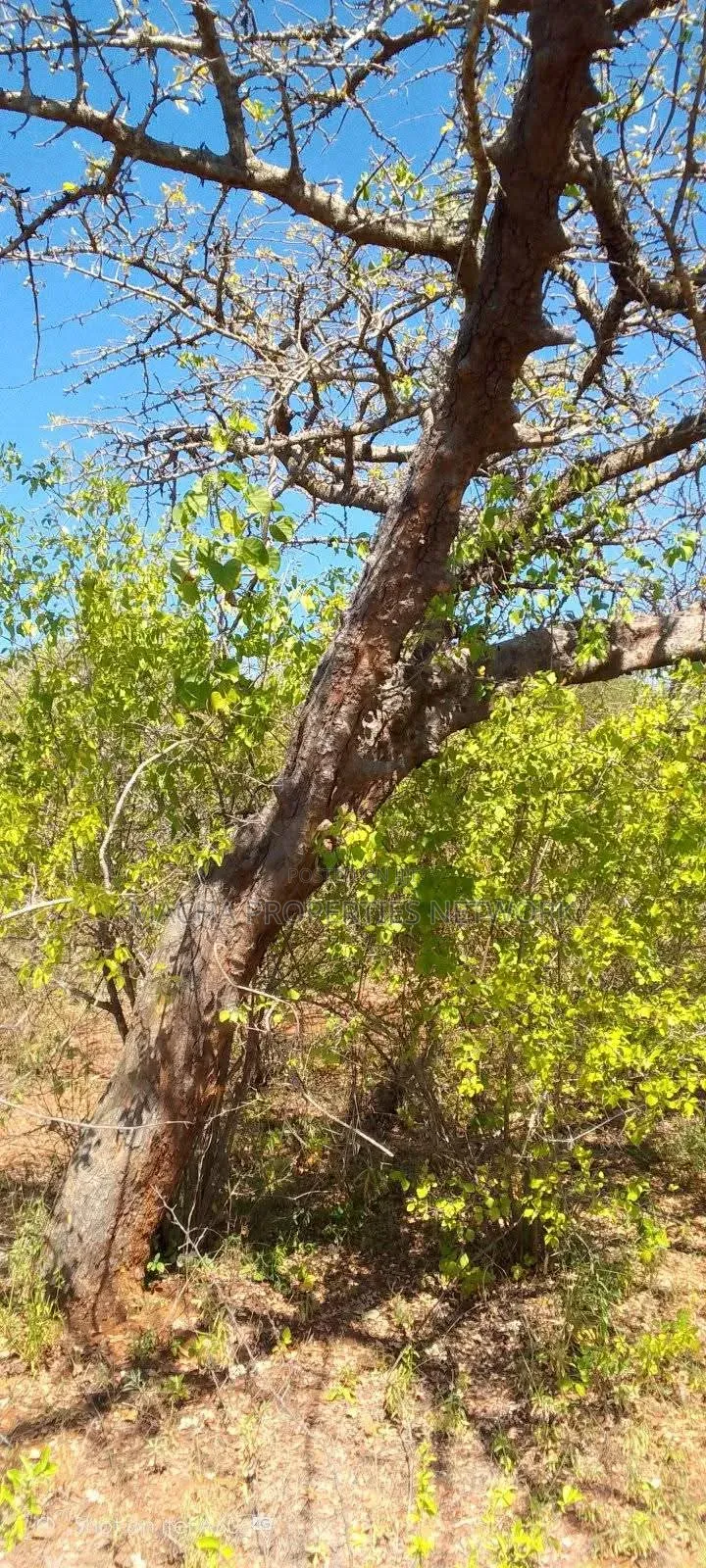 10 Acres at Kitui-Kyua Kwavonza in Kwavonza/Yatta