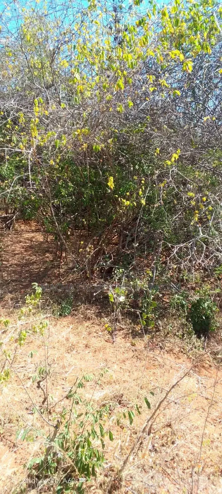10 Acres at Kitui-Kyua Kwavonza in Kwavonza/Yatta