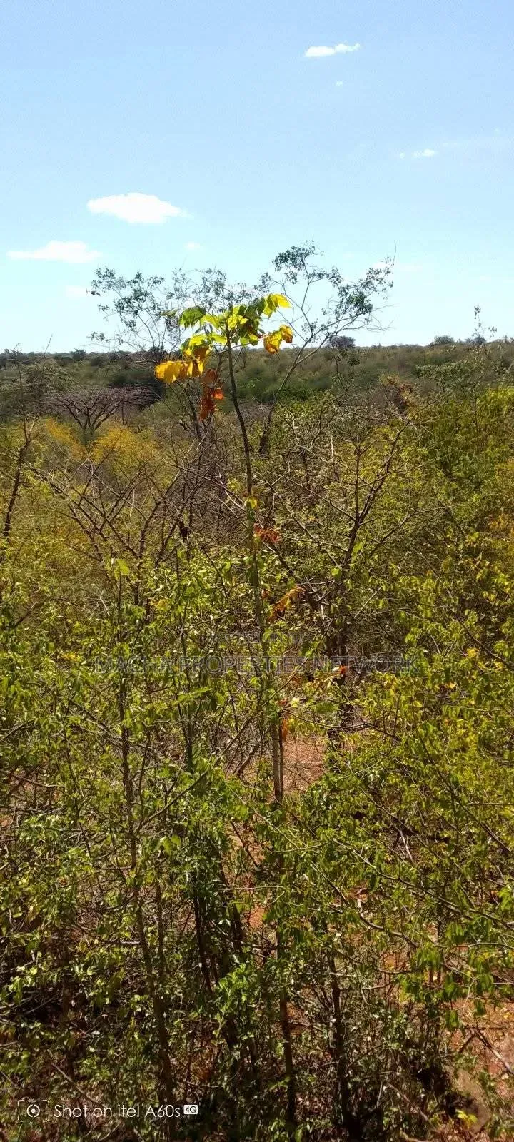 10 Acres at Kitui-Kyua Kwavonza in Kwavonza/Yatta