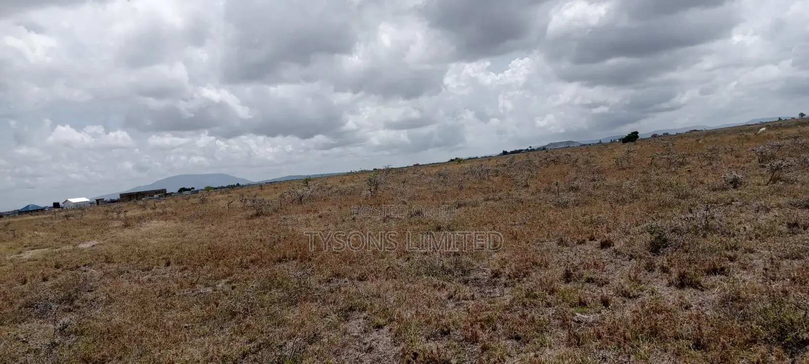 Plot for Sale at Malaa in Malaa