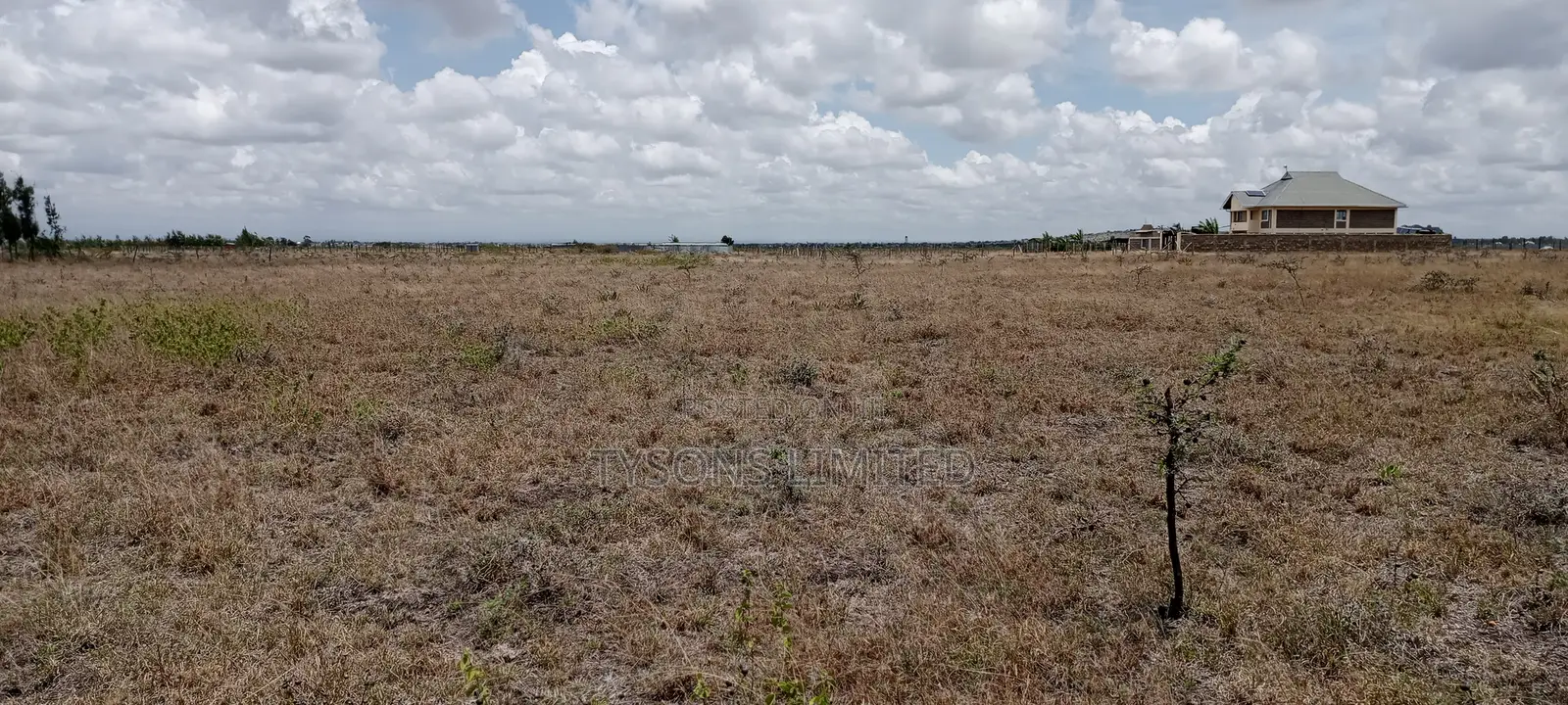 Vacant Plot for Sale at Malaa in Malaa