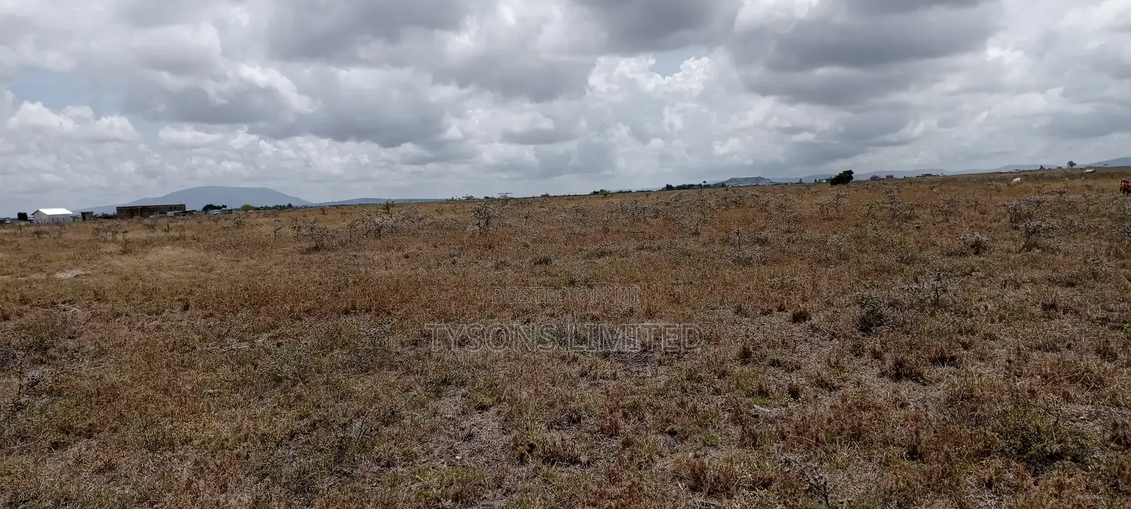 Vacant Plot for Sale at Malaa in Malaa