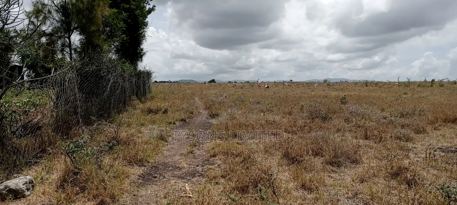 Vacant Plot for Sale at Malaa in Malaa