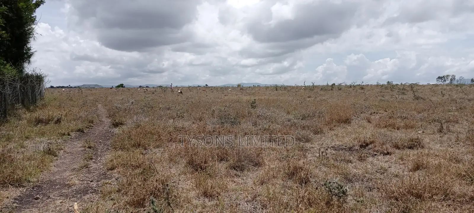 Vacant Plot for Sale at Malaa in Malaa