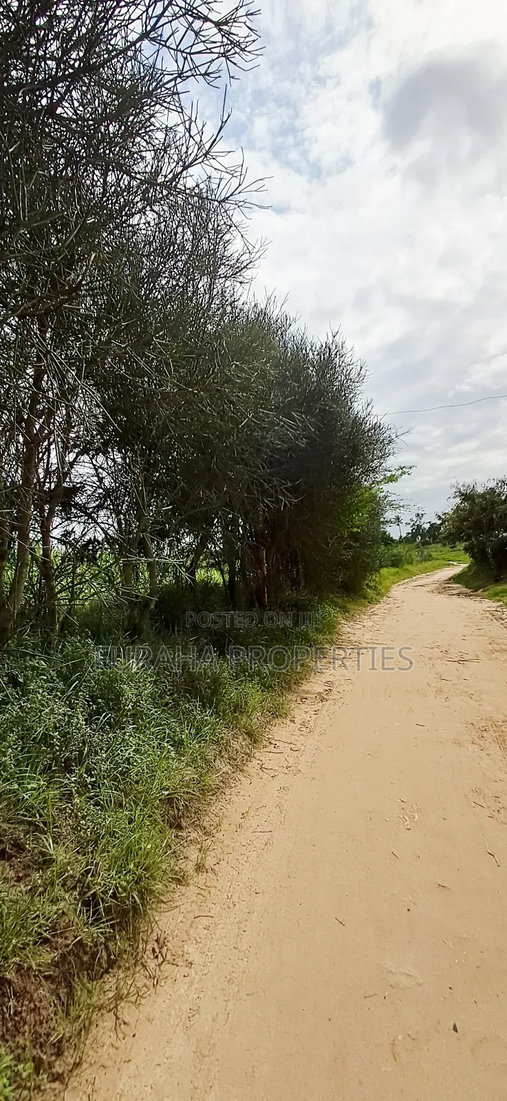 For Leese 4.2 Acres Mariakani in Mariakani