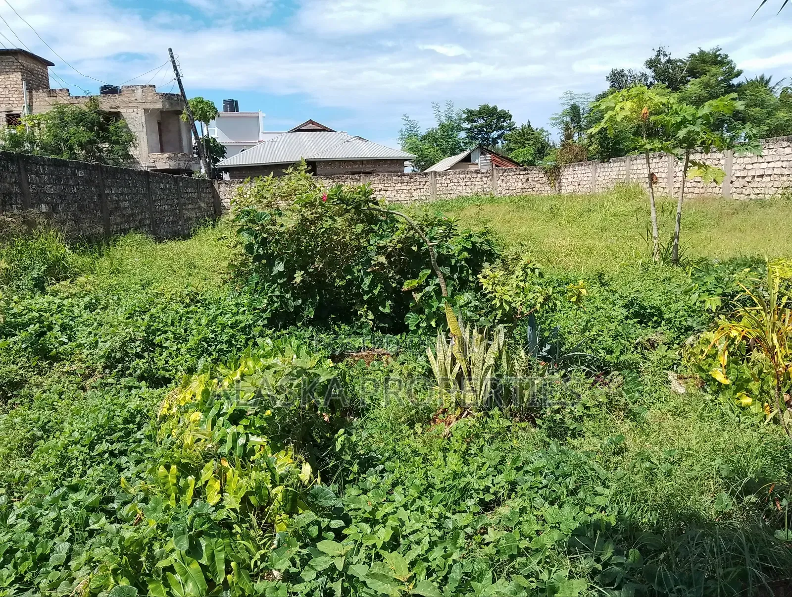 60by110 Prime Plot for Sale in Utange in Nyali