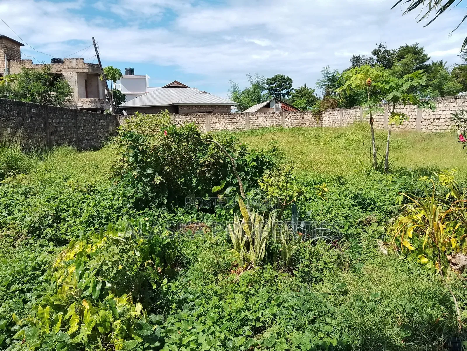 60by110 Prime Plot for Sale in Utange in Nyali