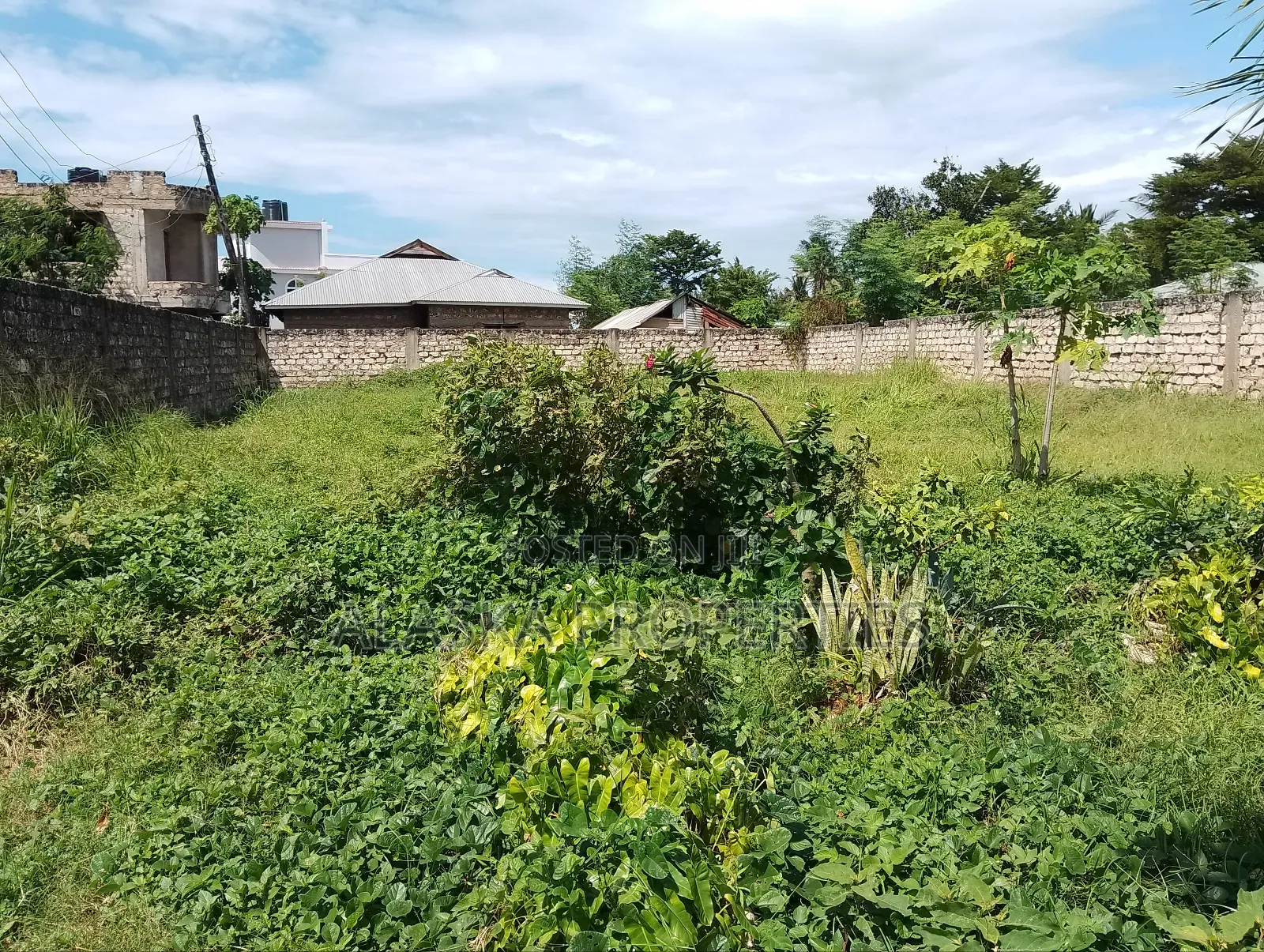 60by110 Prime Plot for Sale in Utange in Nyali