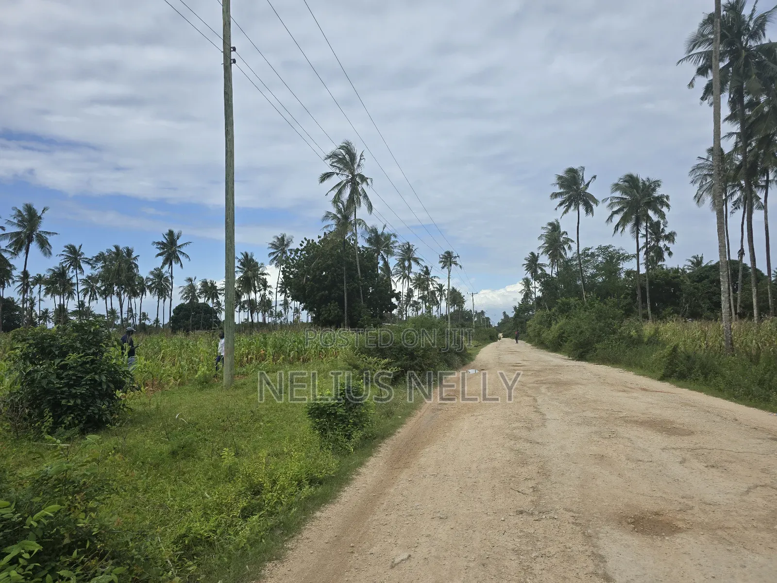 1acre Land Tezo Kilifi for Sale in Kilifi North