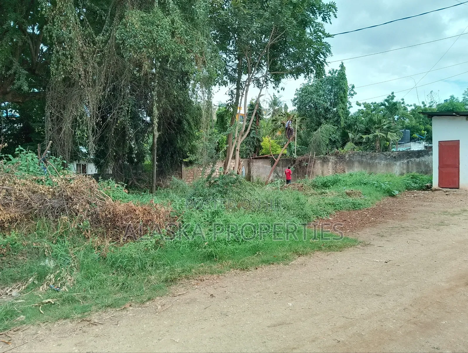 1/8 Acre Prime Plot for Sale in Beach Road Gichaga Estate in Nyali
