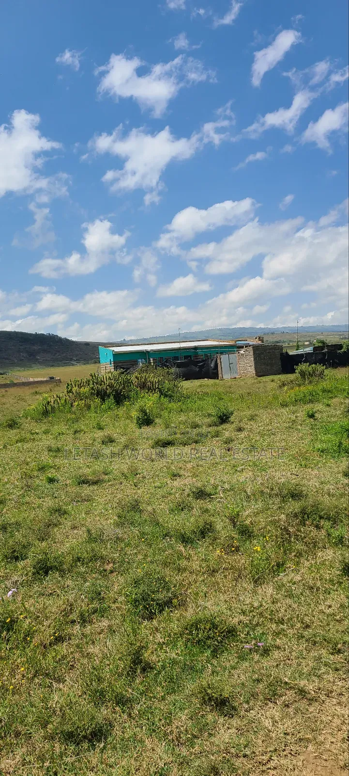 Prime 50 by 100ft Plots in Naivasha, Cash Price in Mirera
