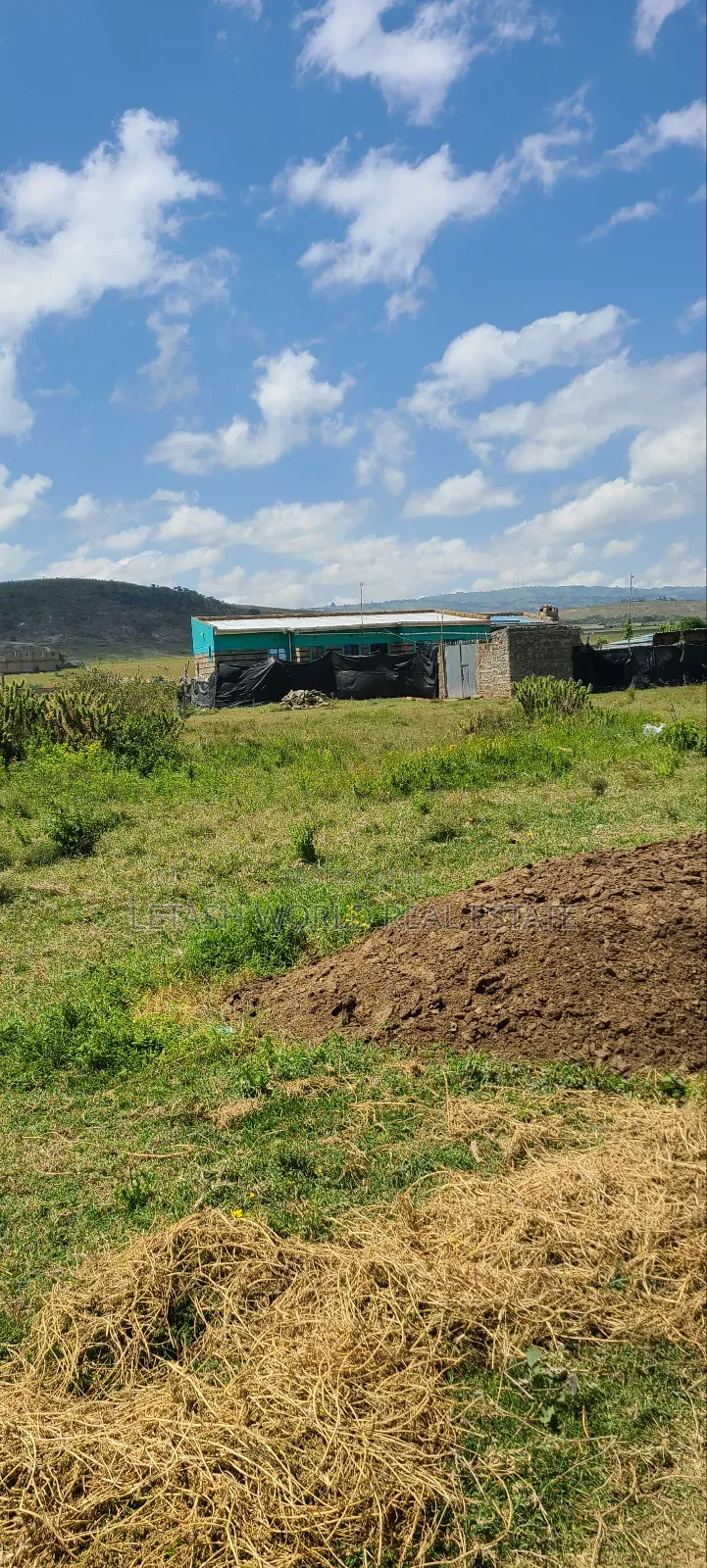 Prime 50 by 100ft Plots in Naivasha, Cash Price in Mirera
