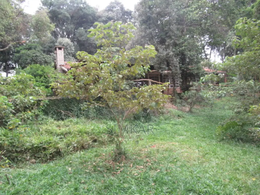 4 Acres of Land for Sale in Mushroom Gardens Estate in Thindigua/Kasarini