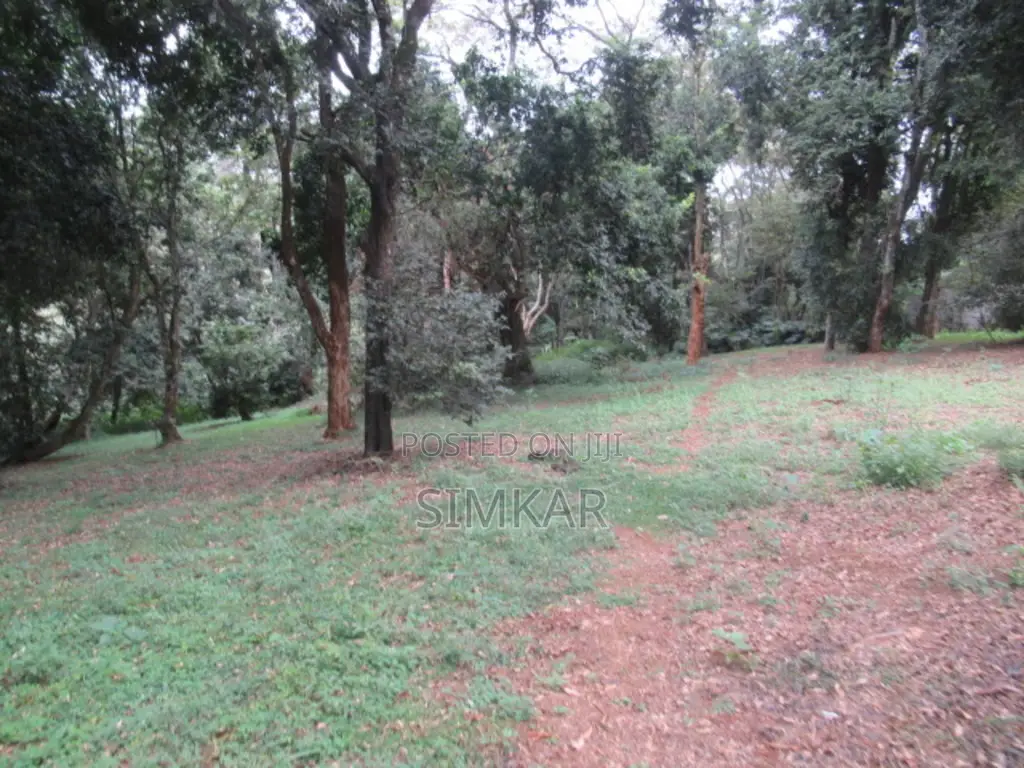 4 Acres of Land for Sale in Mushroom Gardens Estate in Thindigua/Kasarini