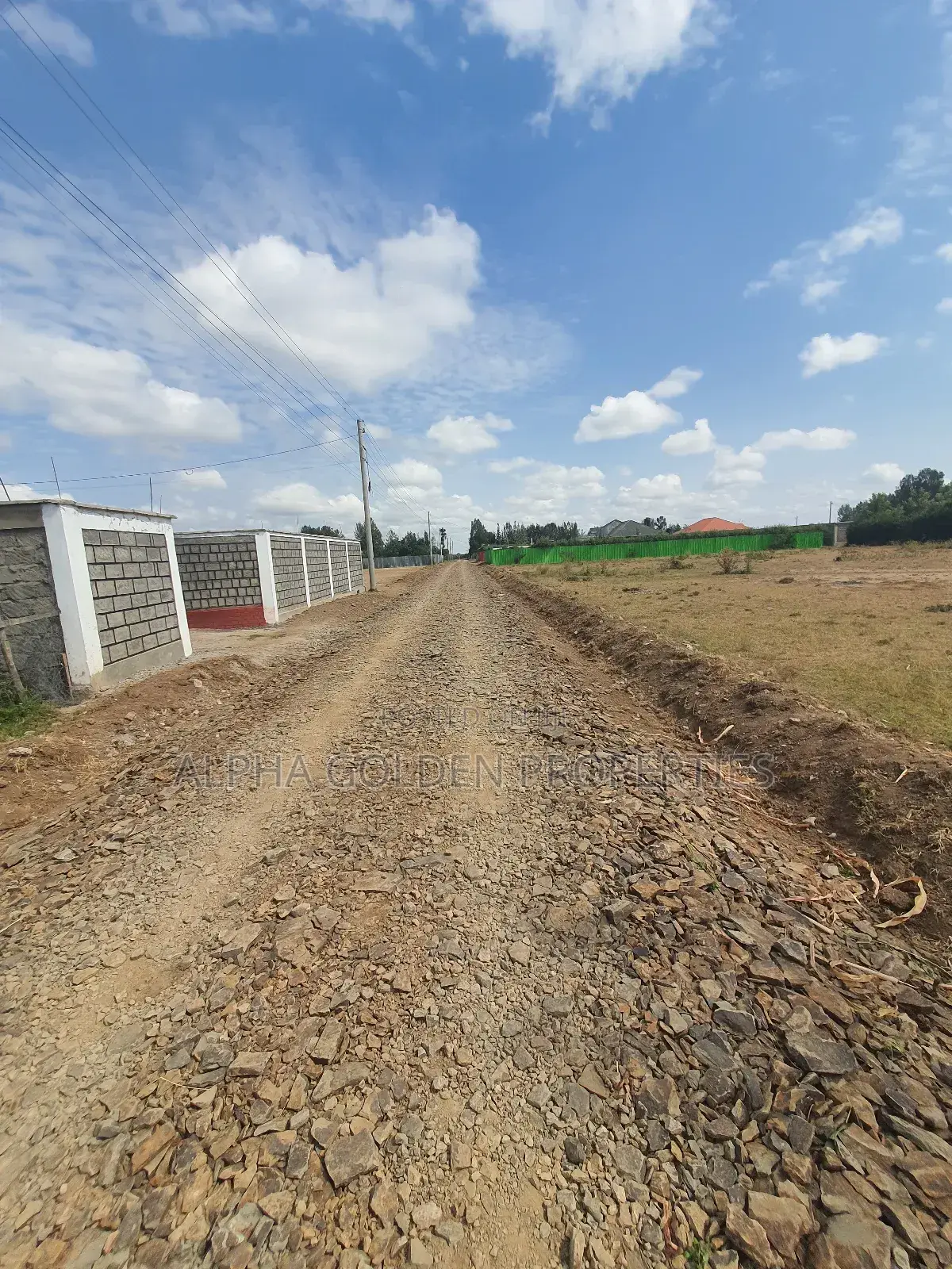 Nanyuki Town 1/4 Plots in Laikipia Central