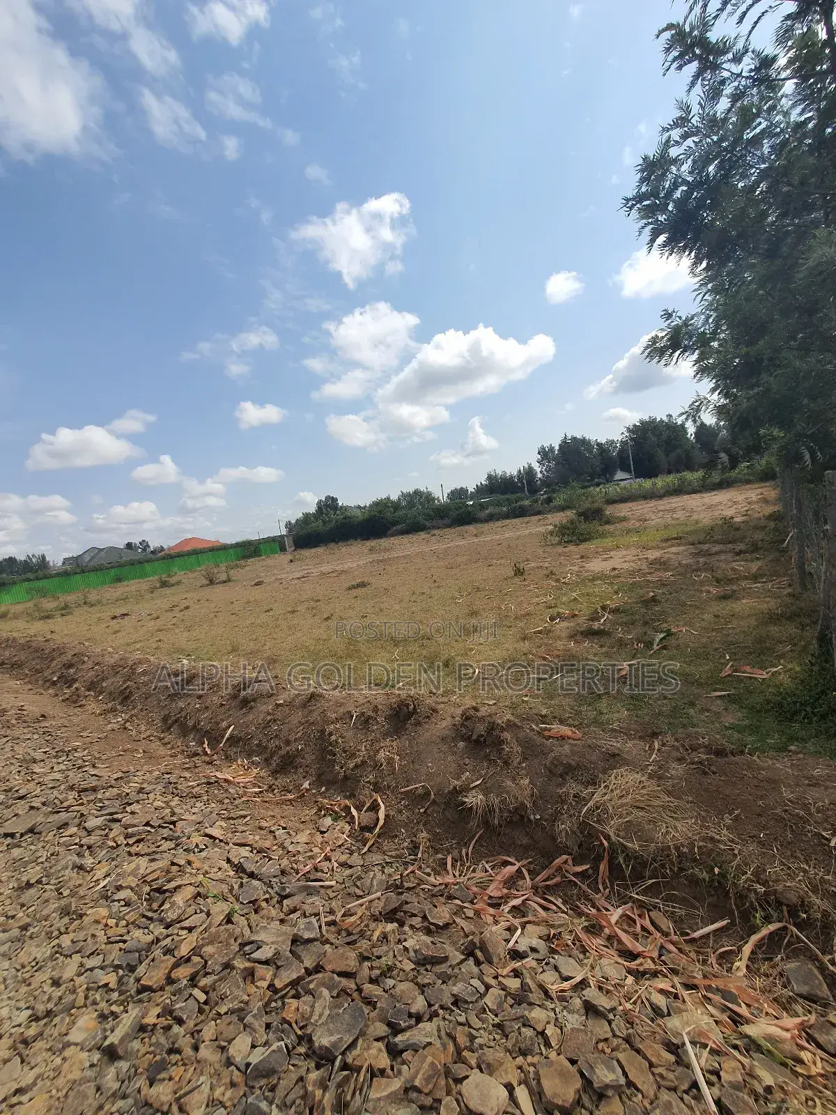 Nanyuki Town 1/4 Plots in Laikipia Central