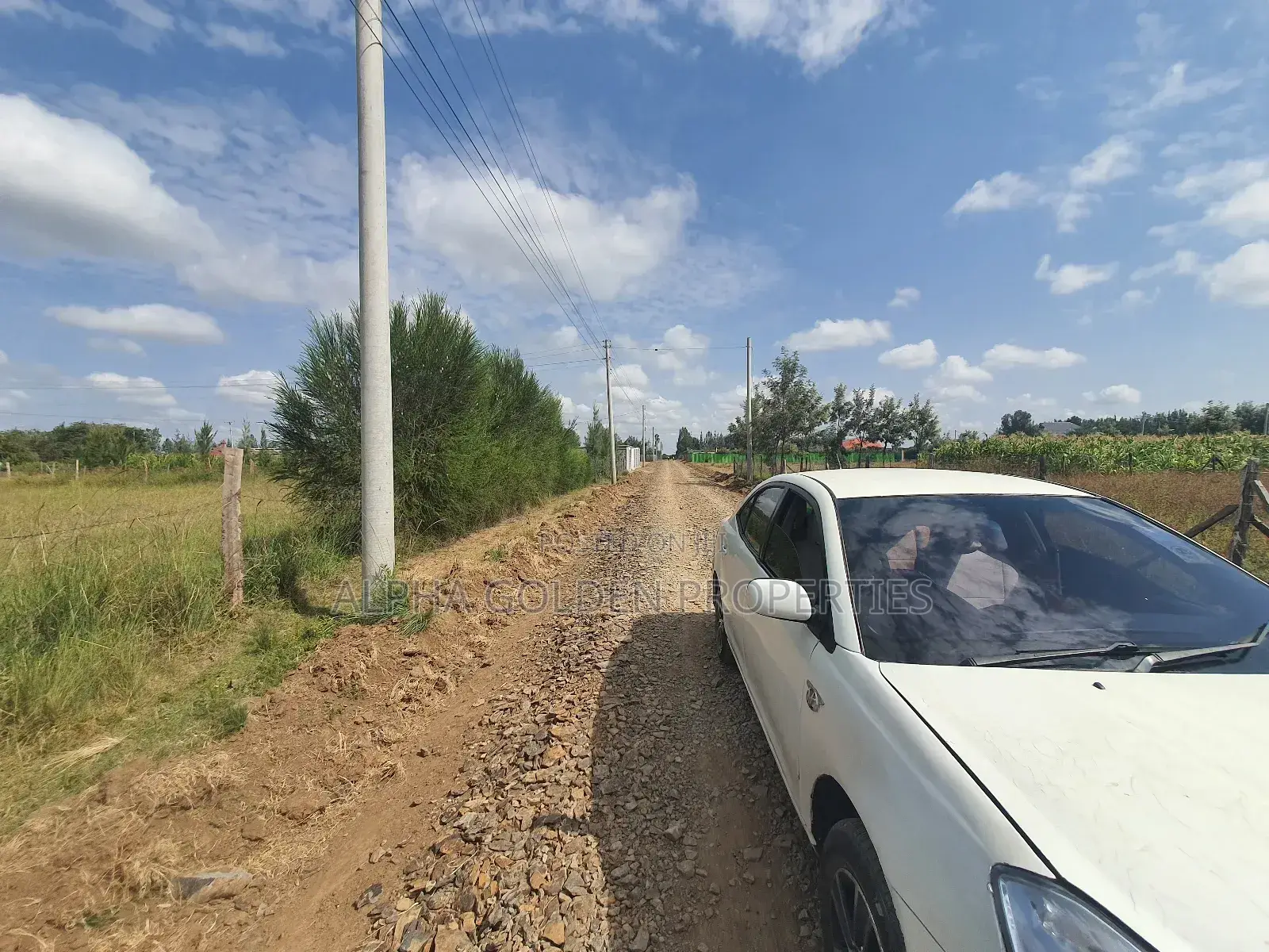 Nanyuki Town 1/4 Plots in Laikipia Central