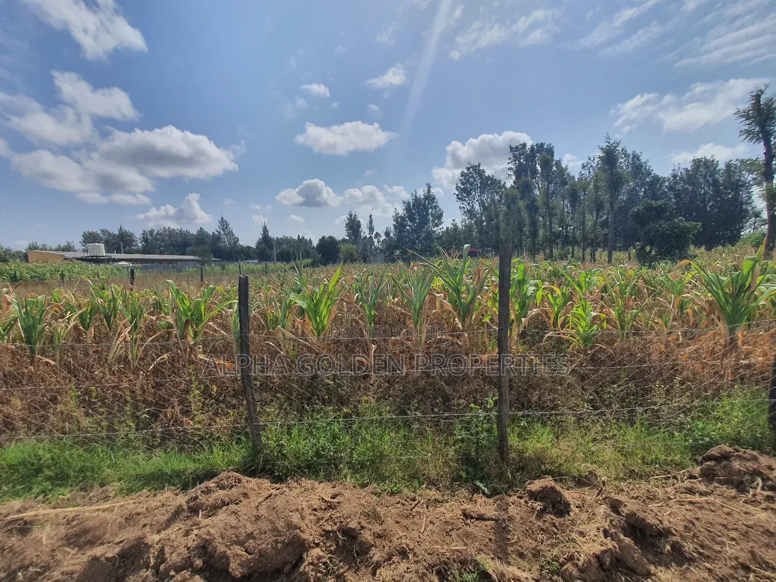Nanyuki Town 1/4 Plots in Laikipia Central