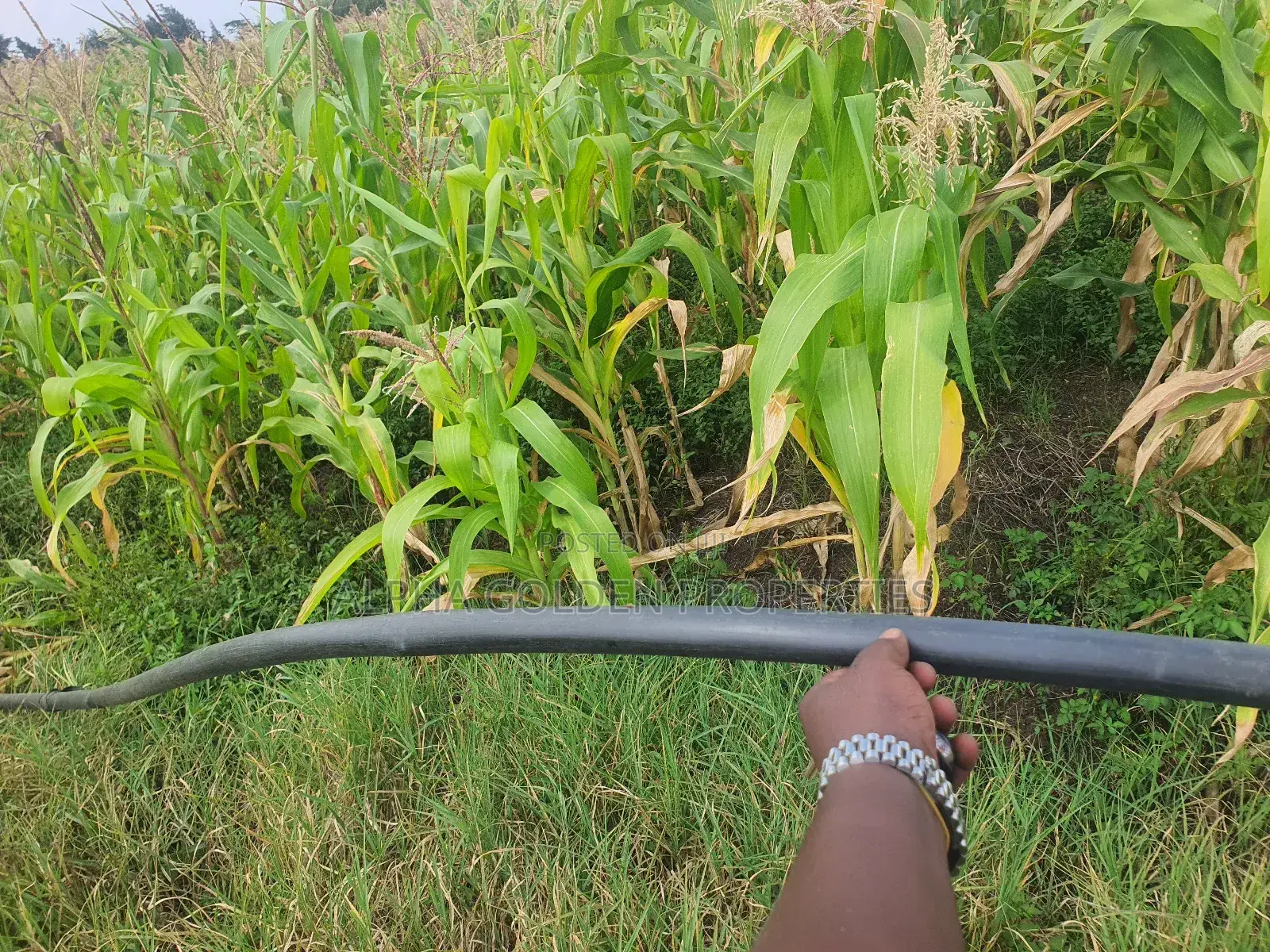 Ngobit 20 Acres in Laikipia Central
