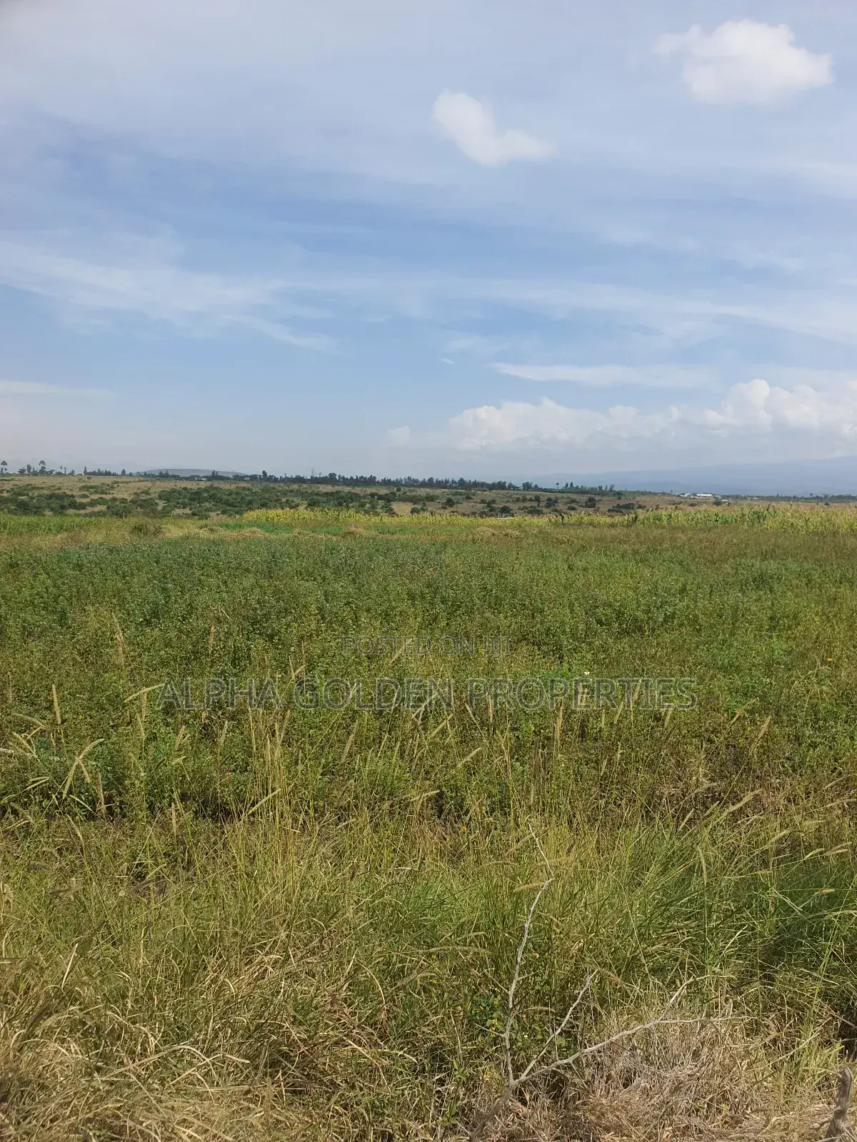 Ngobit 20 Acres in Laikipia Central