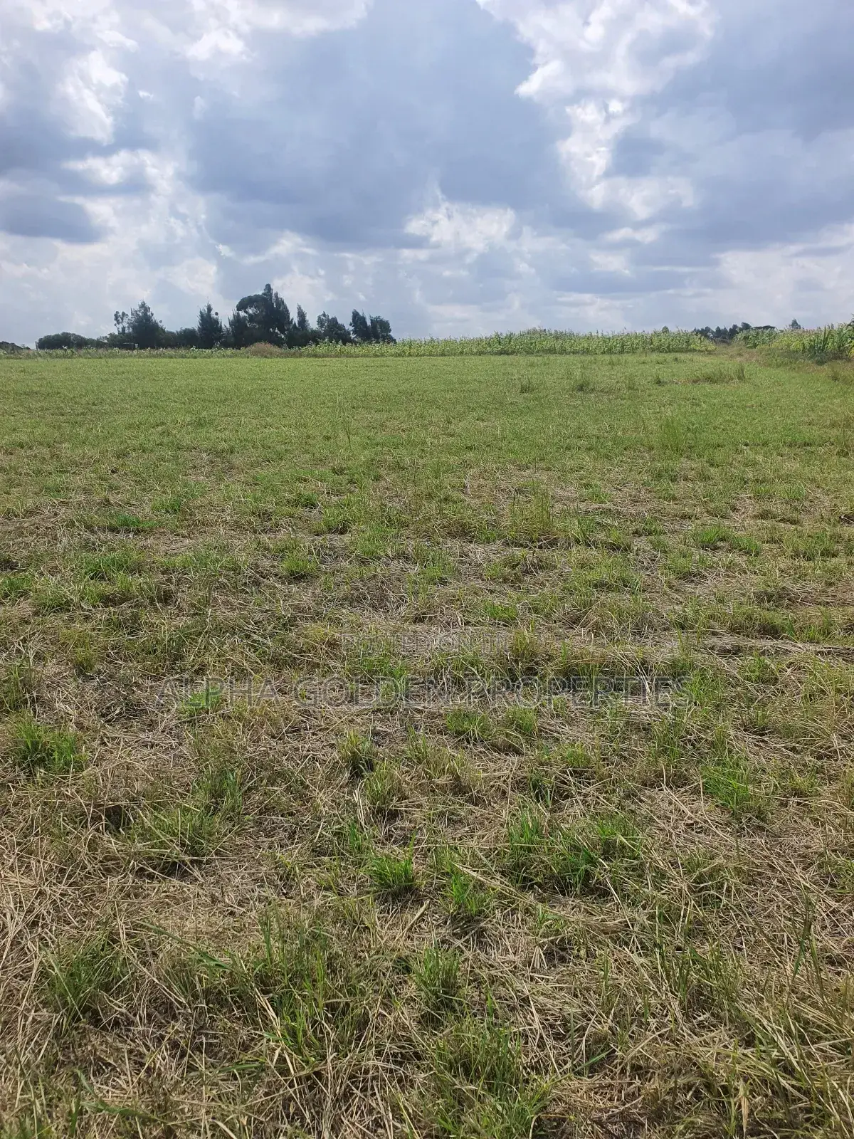 Ngobit 20 Acres in Laikipia Central