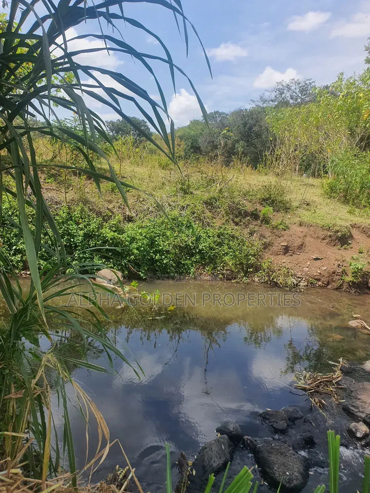 Ngobit 19 Acres Touching River in Laikipia Central