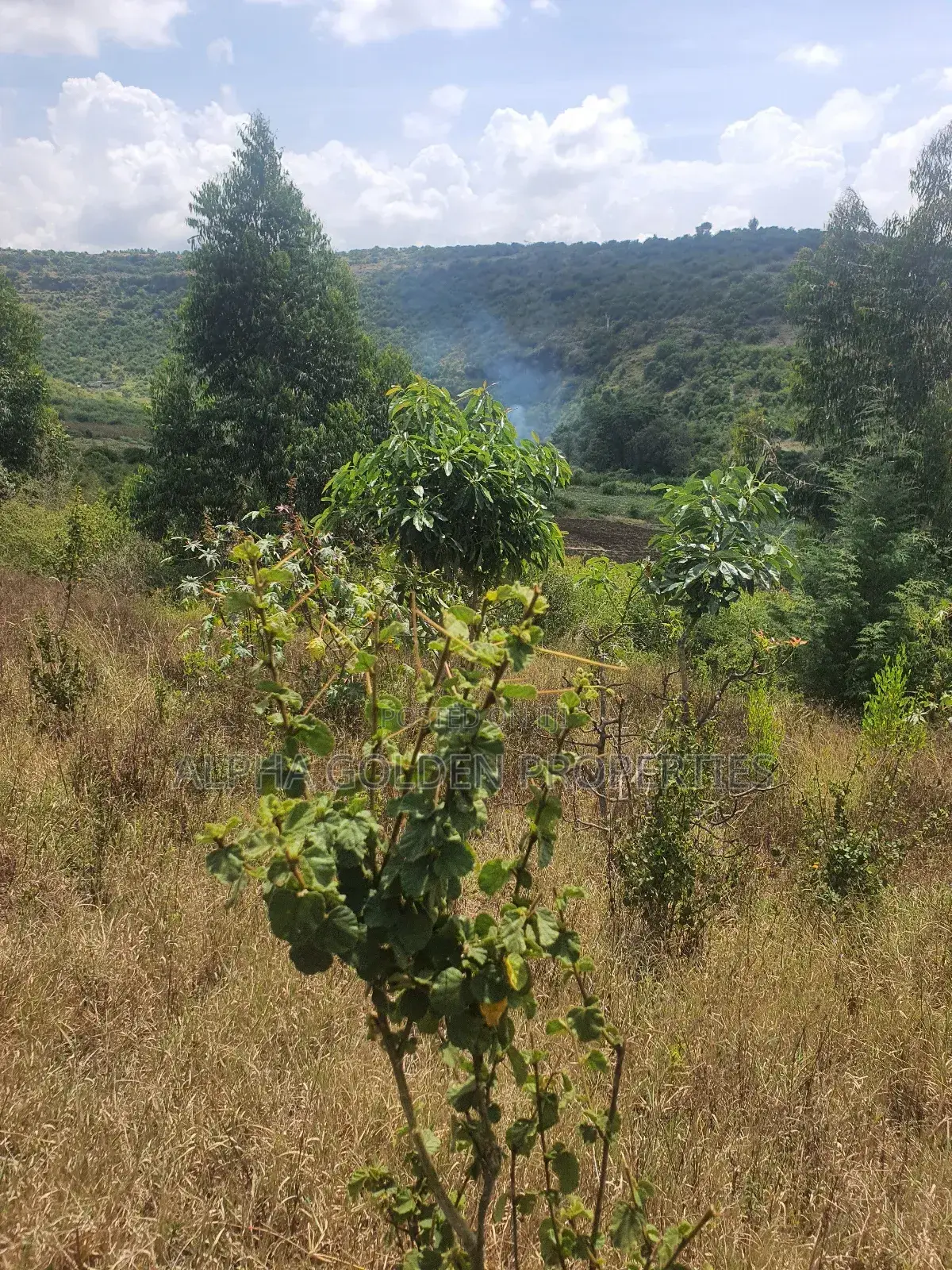 Ngobit 19 Acres Touching River in Laikipia Central