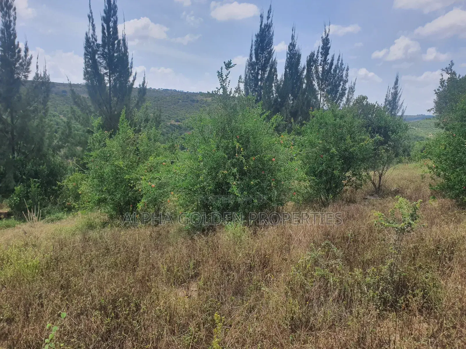 Ngobit 19 Acres Touching River in Laikipia Central