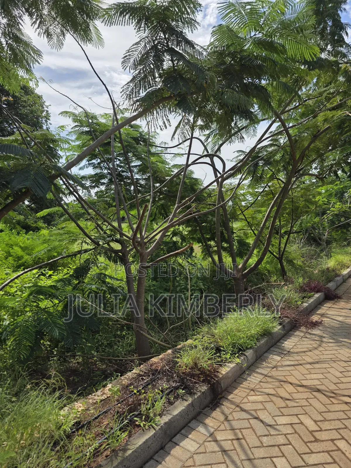 Bofa 50 by 100 With Cabro, Electricity and Water on Site in Kilifi Town