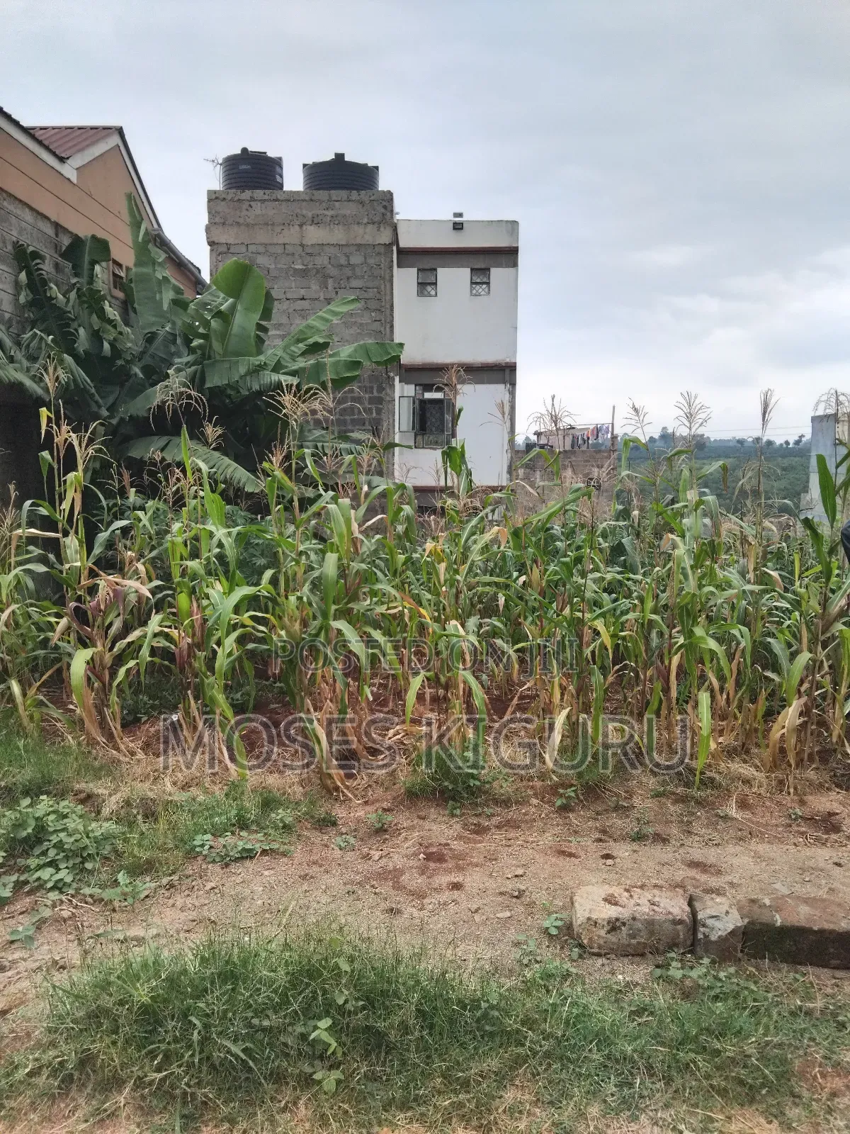 Kenyatta Rd, Murram Estate 50x25 Plots. in Kenyatta Road / Theta 