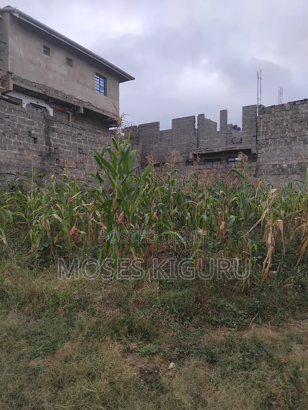 Kenyatta Rd, Murram Estate 50x25 Plots. in Kenyatta Road / Theta 