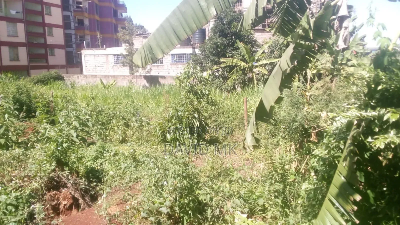 Land Ruaka for Sale 0.5 Acre in Kiambu / Kiambu 