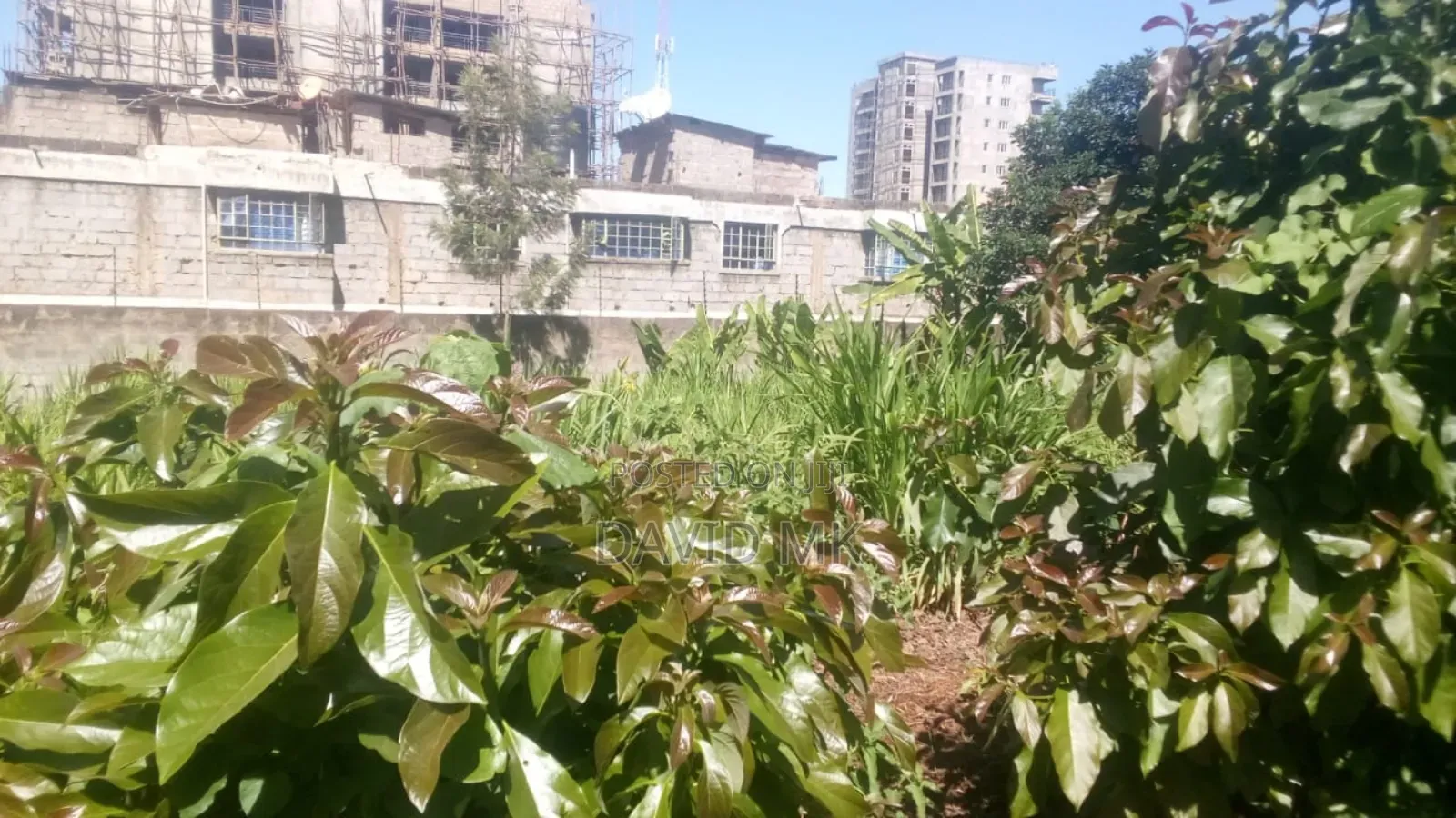 Land Ruaka for Sale 0.5 Acre in Kiambu / Kiambu 