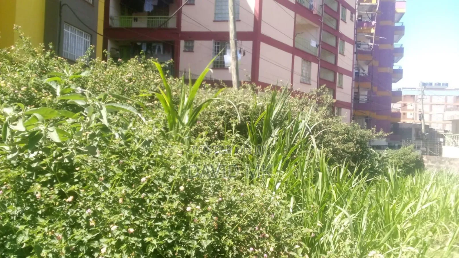 Land Ruaka for Sale 0.5 Acre in Kiambu / Kiambu 