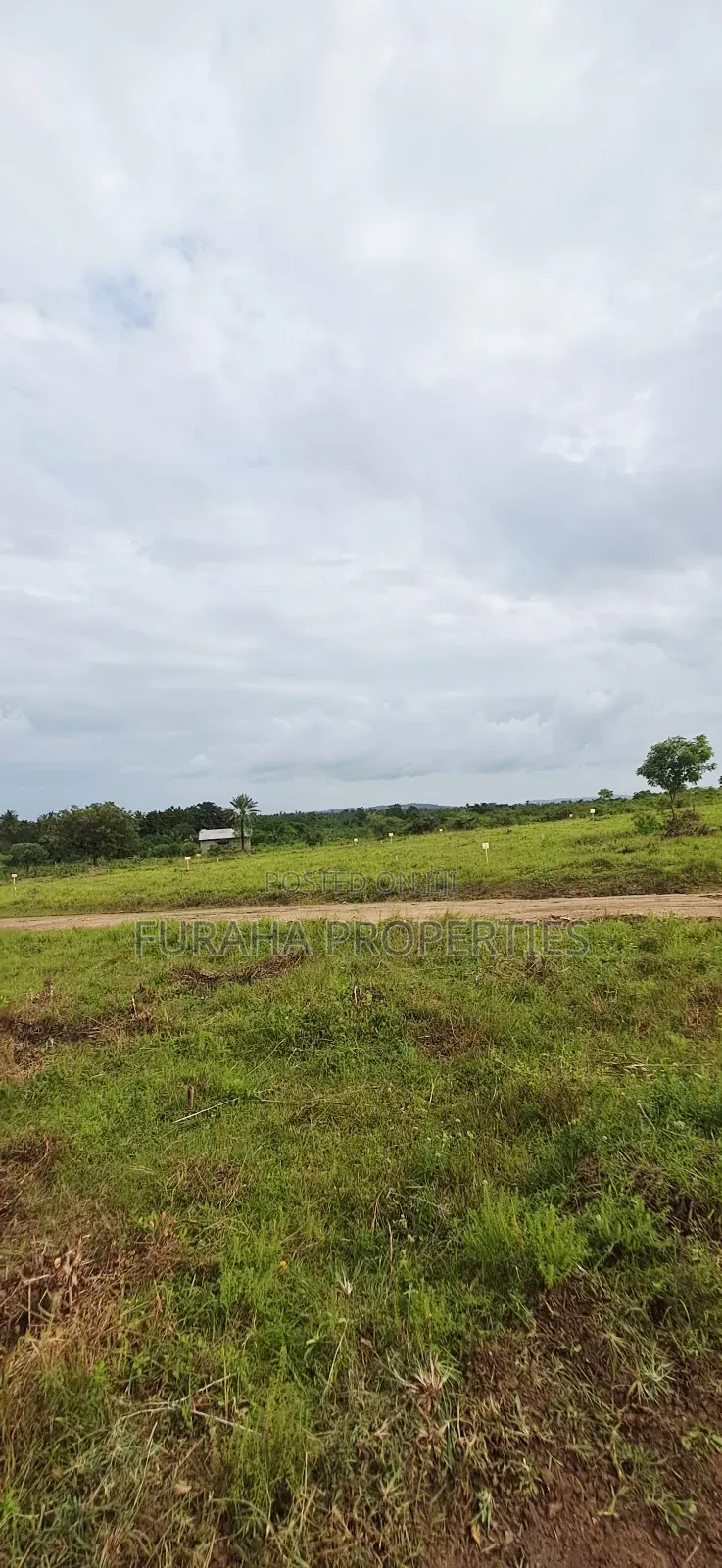 For Sale Eigth Acre Plots Dongo Kundu in Likoni