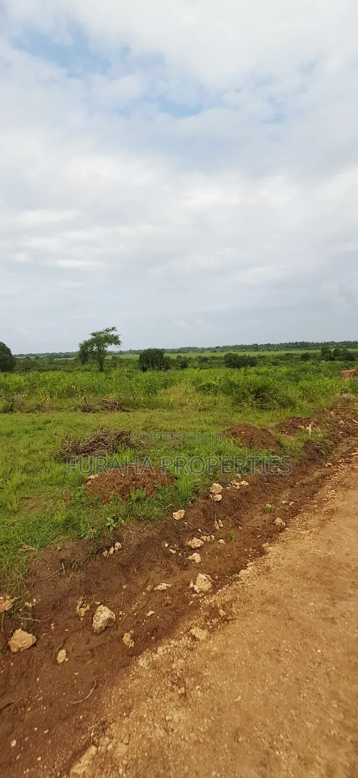 For Sale Eigth Acre Plots Dongo Kundu in Likoni