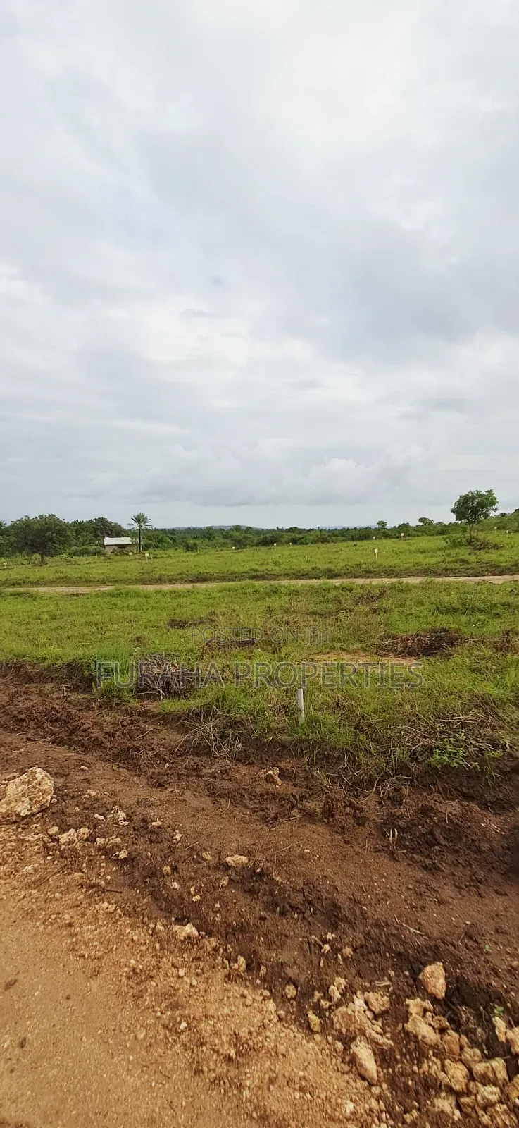 For Sale Eigth Acre Plots Dongo Kundu in Likoni