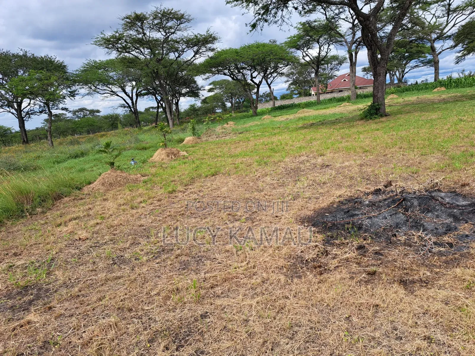 Scenic 6 Acre Land in 2 Titles of 3 Acres in Kandisi in Kandisi